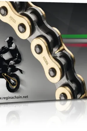REGINA - 520 135 ZSE 118L G&B - Chains - ENDURO Origineel
